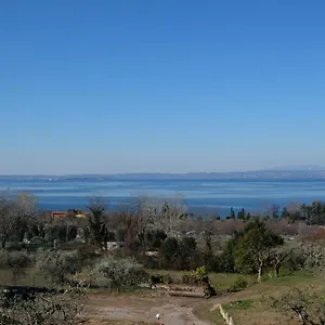 Bellini Bardolino